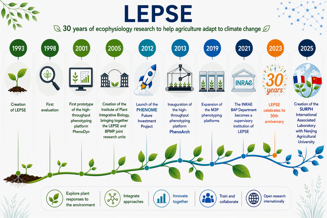 Frise_etape_lepse-en.png