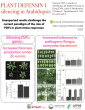 PLANT-DEFENSIN-1-2023.png