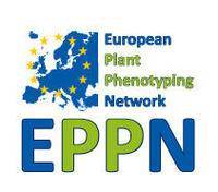 EPPN_medium