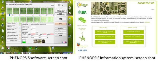 PHENOPSIS-data_reference