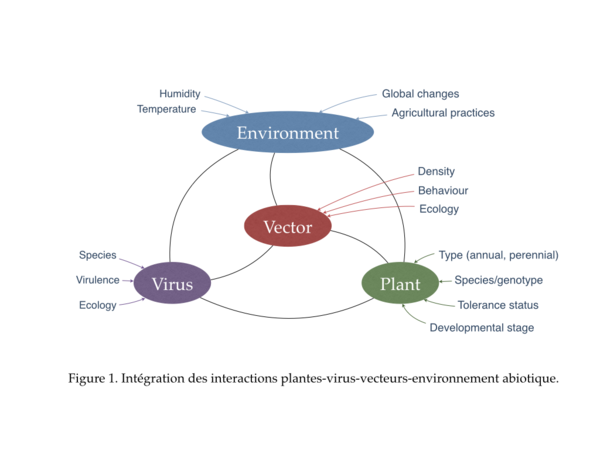 plant-virus-interactions_reference